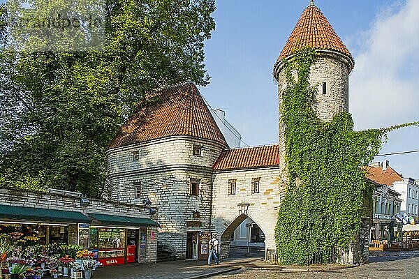 Altes Stadttor  Virutor  Eingang zur Unterstadt  Tallinn  Estland  Tallinn  Estland  Europa