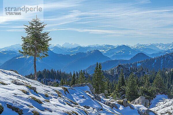 Alpenpanorama  Wanderweg zur Kampenwand  Aschau  Chiemgau  Chiemgauer Alpen  Bayern  Deutschland  Europa