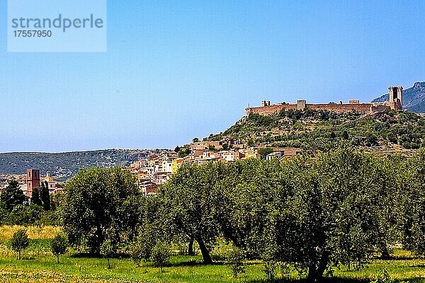 Bosa mit Olivenhain und Castello  Sardinien  Italien  Europa