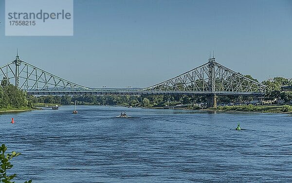 Elbe  Brücke Blaues Wunder  Dresden  Sachsen  Deutschland  Europa