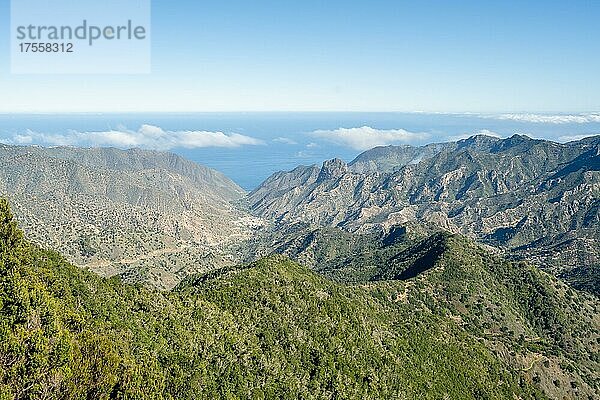 Nebelwald rund um den Raso de la Bruma über die Montana de la Arana mit Blick auf die Täler von Vallehermoso  La Gomera  Spanien  Europa