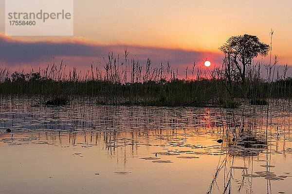 Sonnenuntergang über der Wasserlandschaft des Okavango Deltas  Vumbura Plains Camp  Botswana  Afrika