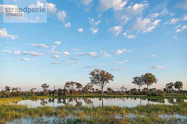 Wasserlandschaft im Little Vumbura Camp  Okavango Delta  Botswana  Afrika