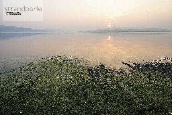 Sonnenuntergang auf der Insel Reichenau  Bodensee  Baden-Württemberg  Deutschland  Europa