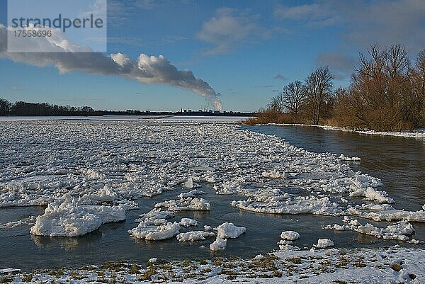 Sonniger  kalter Wintertag mit Eisschollen auf dem Fluss Oder im Nationalpark Unteres Odertal bei Schwedt  Deutschland  Europa
