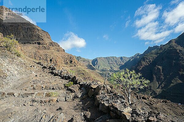 Wanderweg Camino la Mérica mit Blick auf El Guro  Valle Gran Rey  La Gomera  Spanien  Europa