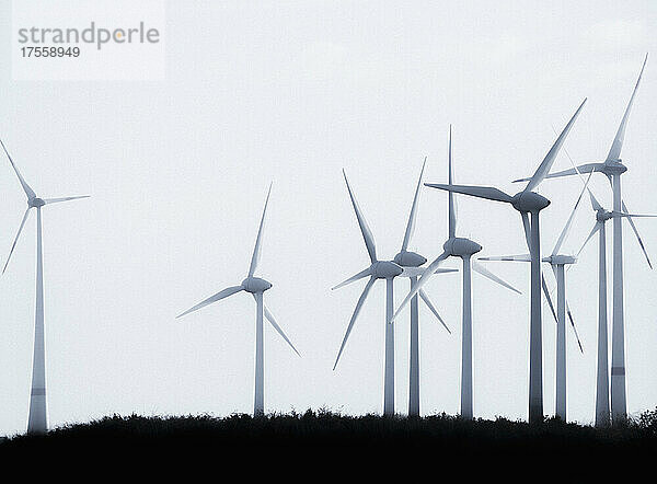 Windkraftanlagen vor blauem Himmel  Deutschland
