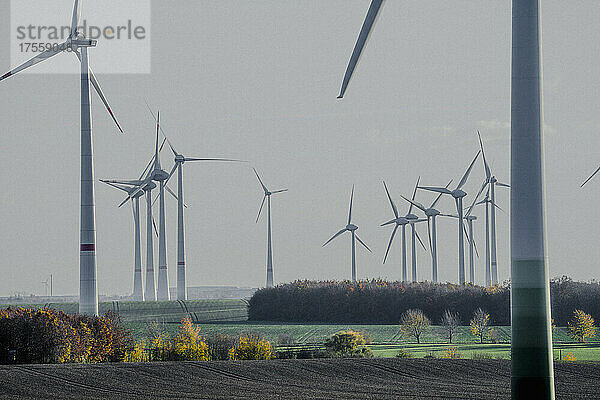 Windkraftanlagen in idyllischer ländlicher Umgebung  Sachsen-Anhalt  Deutschland