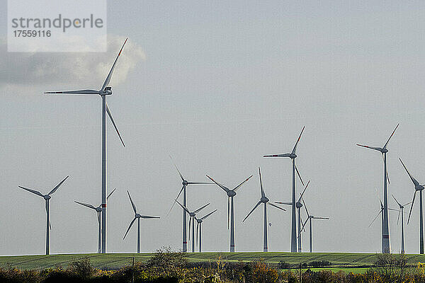 Windkraftanlage in einem sonnigen ländlichen Gebiet vor blauem Himmel  Deutschland