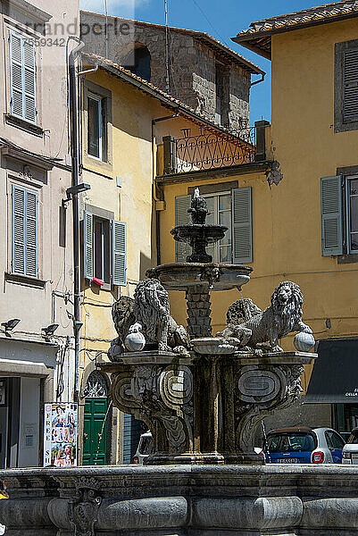 Europa  Italien  Viterbo  Erbe-Platz  Sankt-Stephan-Brunnen