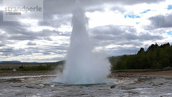 Island  Geysir