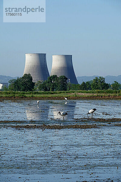 Italien  Piemont  Trino  stillgelegtes Kernkraftwerk