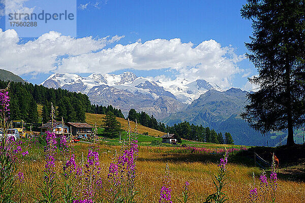 Italien  Aosta-Tal  Ayas  Berglandschaft