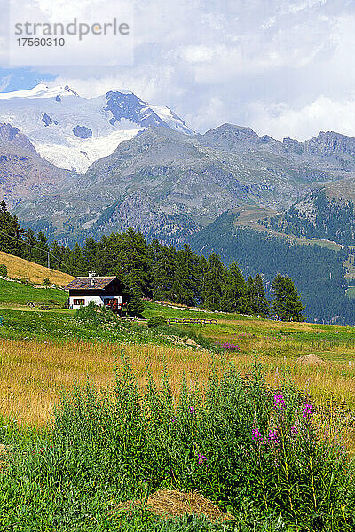 Italien  Aosta-Tal  Ayas  Berglandschaft