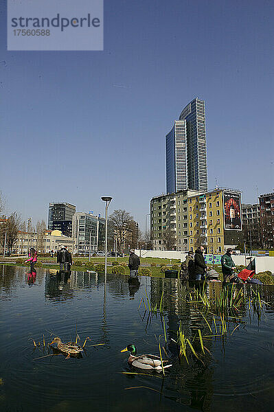 Mailand  Italien Im Teich des Parks der Biblioteca degli Alberi  Piazza Gae Aulenti  ein Paar deutscher Enten (Anas platyrhynchos).