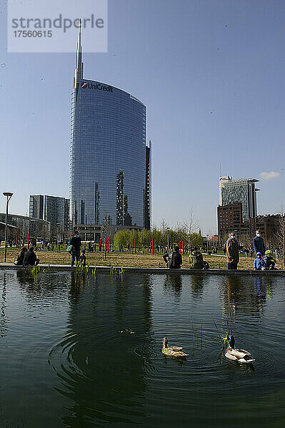 Mailand  Italien Im Teich des Parks der Biblioteca degli Alberi  Piazza Gae Aulenti  ein Paar deutscher Enten (Anas platyrhynchos).