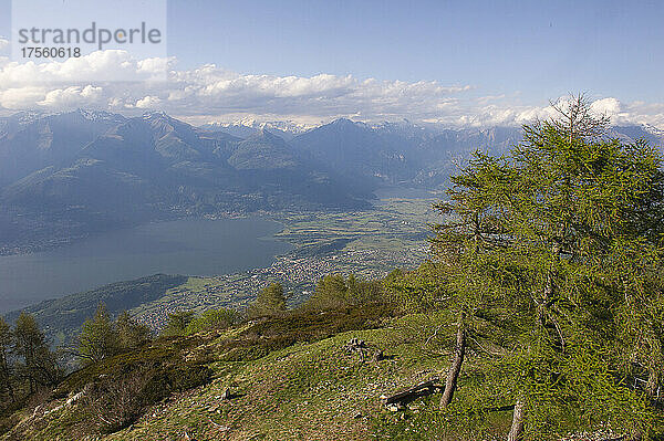 Europa Italien  Lombardei  Comer See  Lecco   Berg Legnoncino