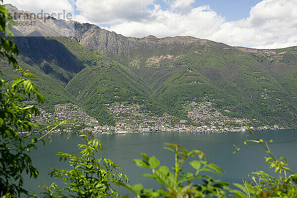 Europa  Italien  Lombardei  Verbano- oder Lago Maggiore-See  das Turiner Ufer und die Grenze zur Schweiz.