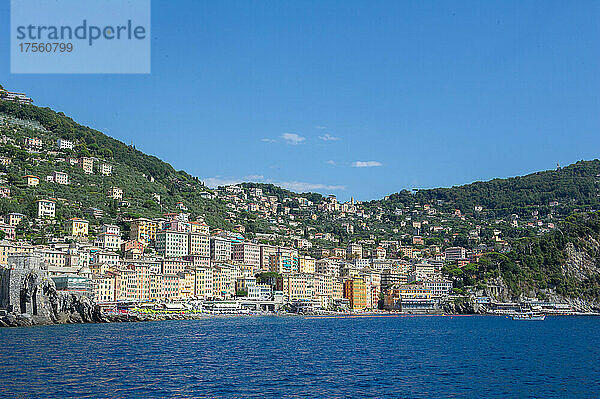 Europa  Italien  Stadt Camogli am Mittelmeer in Ligurien.