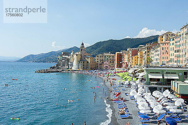 Europa  Italien  Stadt Camogli am Mittelmeer in Ligurien. Basilika Santa Maria Assunta und bunte Gebäude.