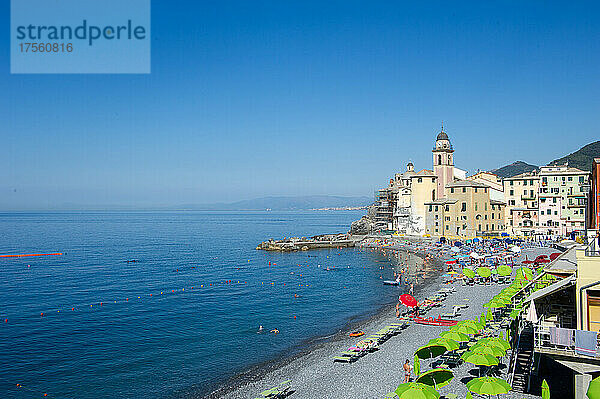 Europa  Italien  Stadt Camogli am Mittelmeer in Ligurien. Basilika Santa Maria Assunta und bunte Gebäude.