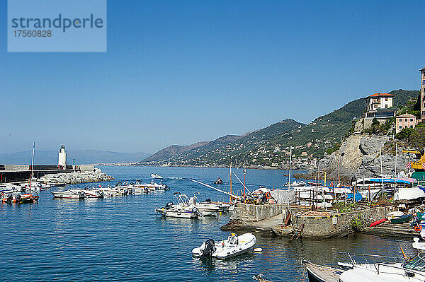Europa  Italien  Stadt Camogli am Mittelmeer in Ligurien. Hafen mit Fischerbooten