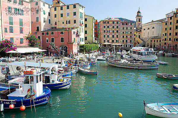 Europa  Italien  Stadt Camogli am Mittelmeer in Ligurien. Hafen mit Fischerbooten