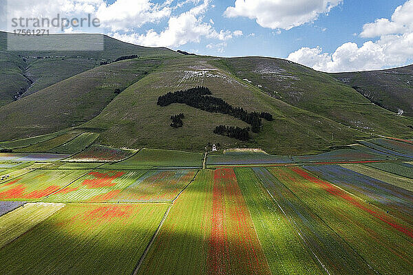 Italien  Umbrien  Castelluccio di Norcia  Linsenfelder