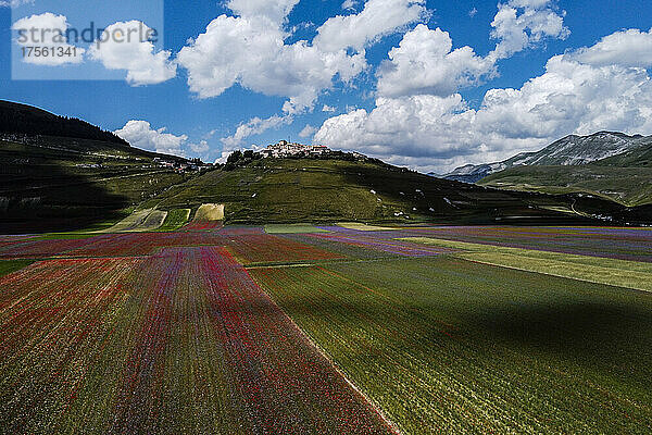 Italien  Umbrien  Castelluccio di Norcia  Linsenfelder