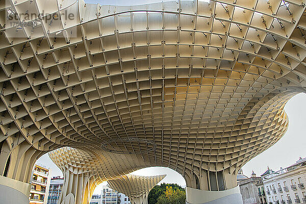 Der Sonnenschirm Metropol (Las Setas de Sevilla) in Sevilla  Andalusien  Spanien  Europa