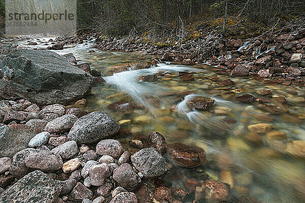 Gebirgsbach mit Wasserfällen in der Nähe des Maligne Canyon  Athabasca River Basin  Jasper National Park  UNESCO-Weltkulturerbe  Alberta  Kanadische Rockies  Kanada  Nordamerika