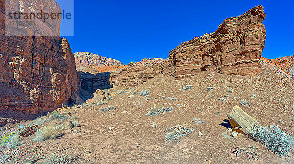Cliffs of Chocolate Canyon im Vermilion Cliffs National Monument  Arizona  Vereinigte Staaten von Amerika  Nordamerika