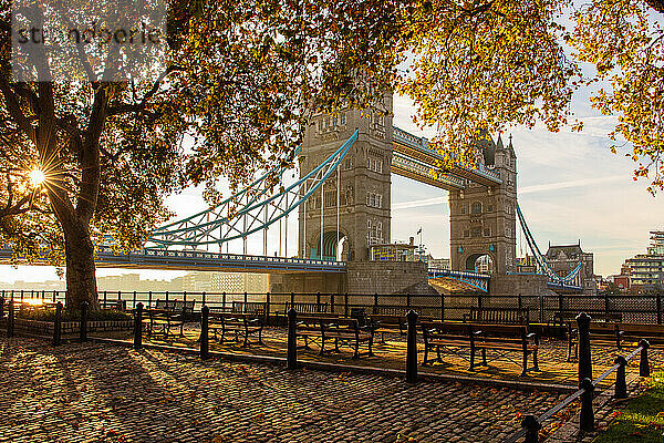 Herbstsonnenaufgang im Park des Tower of London  mit Tower Bridge  London  England  Vereinigtes Königreich  Europa