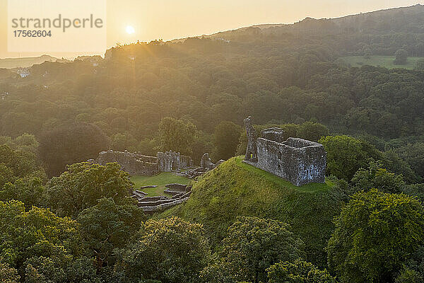 Die Ruinen von Okehampton Castle bei Sonnenaufgang  Okehampton  Devon  England  Vereinigtes Königreich  Europa