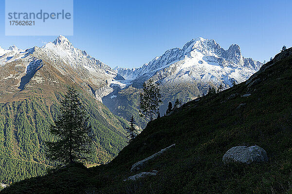 Majestätische Gipfel Aiguille du Chardonnet  Aiguille Verte und Argentiere-Gletscher  Mont Blanc-Massiv  Chamonix  Hochsavoyen  Französische Alpen  Frankreich  Europa