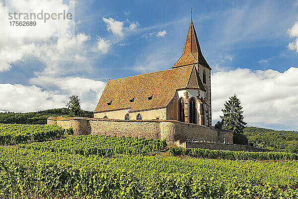 Festungskirche Saint Jacques  Hunawihr  Elsass  Elsässische Weinstraße  Haut-Rhin  Frankreich  Europa