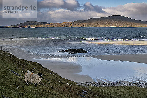 Die Insel Taransay mit Blick auf den Strand von Seilebost  Isle of Harris  Äußere Hebriden  Schottland  Vereinigtes Königreich  Europa