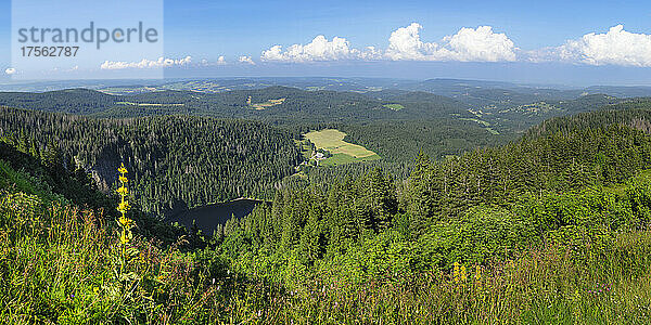 Blick vom Seebuck-Gipfel am Feldberg auf den Feldsee  Schwarzwald  Baden-Württemberg  Deutschland  Europa