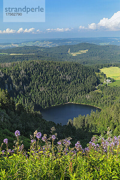Blick vom Seebuck-Gipfel am Feldberg auf den Feldsee  Schwarzwald  Baden-Württemberg  Deutschland  Europa