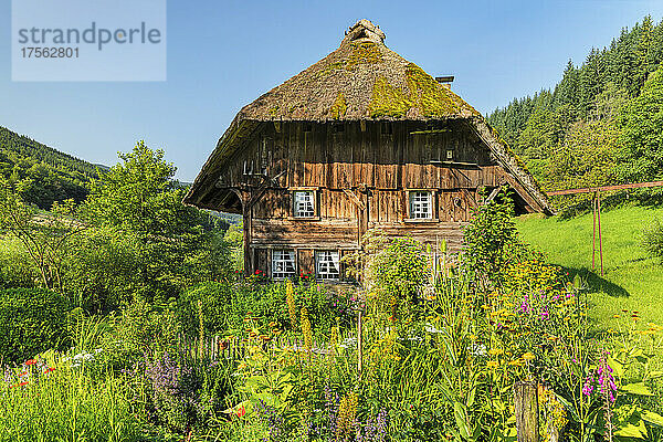 Landwasserhof Mühle und Hüttengarten bei Elzach  Schwarzwald  Baden-Württemberg  Deutschland  Europa