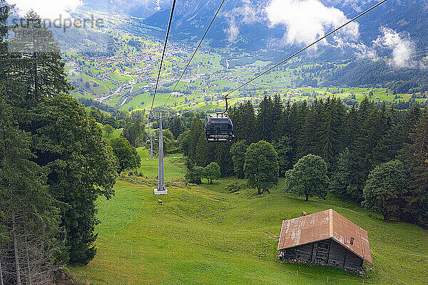 Seilbahn bergauf zwischen grünen Alpenwiesen und Wald  Grindelwald  Mannlichen  Jungfrau Region  Kanton Bern  Schweizer Alpen  Schweiz  Europa