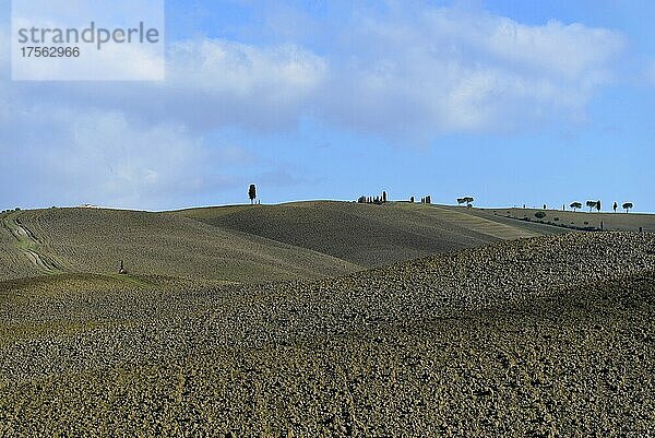 Landschaft im Val d'Orcia  Orcia-Tal  nahe Montepulciano  Toskana  Italien  Europa