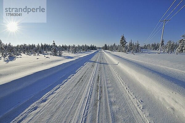 Schneebedeckte Straße im Winter  Kuloharju  Kuusamo  Nordösterbotten  Pohjois Pohjanmaa  Finnland  Suomi  Europa