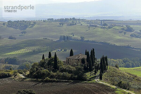 Toskanische hügelige Landschaft bei Pienza  Toskana  Italien  Europa