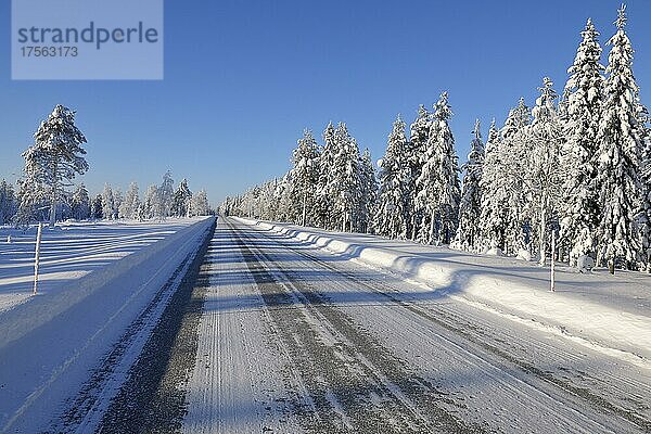 Straße im Winter  Kuusamo  Nordösterbotten  Pohjois Pohjanmaa  Finnland  Suomi  Europa