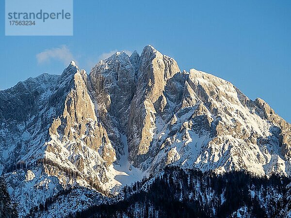 Großer Ödstein im Abendlicht  Weng bei Admont  Nationalpark Gesäuse  Steiermark  Österreich  Europa