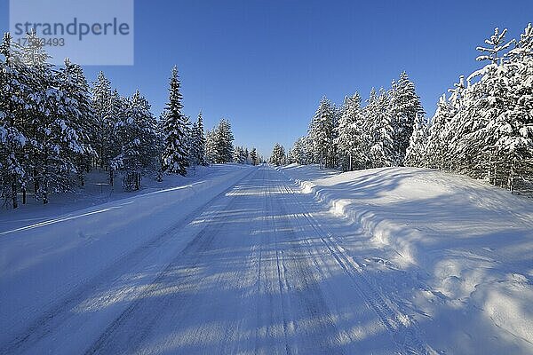 Sonne über schneebedeckter Straße im Winter  Kuloharju  Kuusamo  Nordösterbotten  Pohjois Pohjanmaa  Finnland  Suomi  Europa