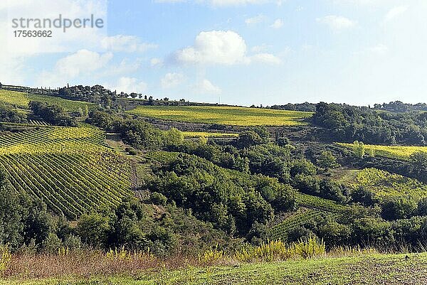 Landschaft im Val d'Orcia  Orcia-Tal  nahe Montepulciano  Toskana  Italien  Europa