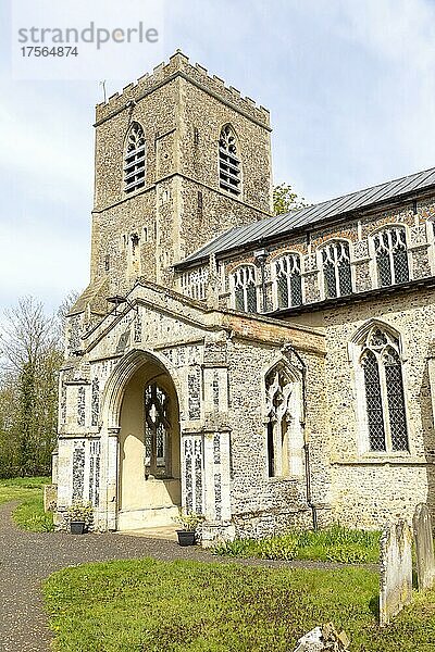 Dorfpfarrkirche von Saint Andrew  Cotton  Suffolk  England  UK
