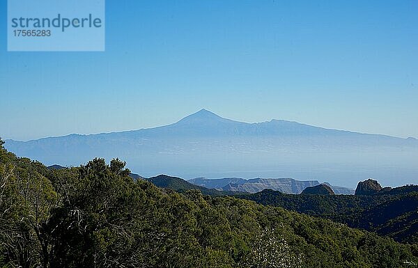 Aussicht vom Gipfel des Alto de Garajonay auf Teneriffa und den Teide  Nationalpark Garajonay  La Gomera  Kanarische Inseln  Spanien  Europa